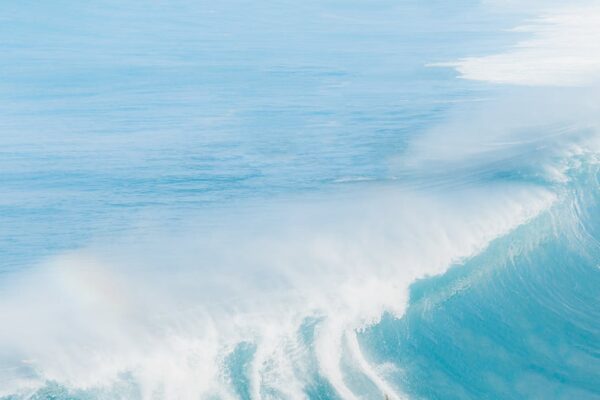 people surfing on sea waves